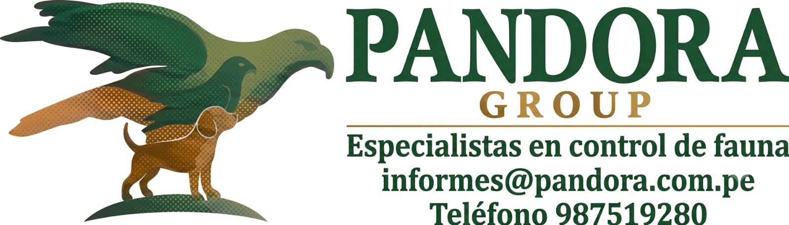 PANDORA GROUP